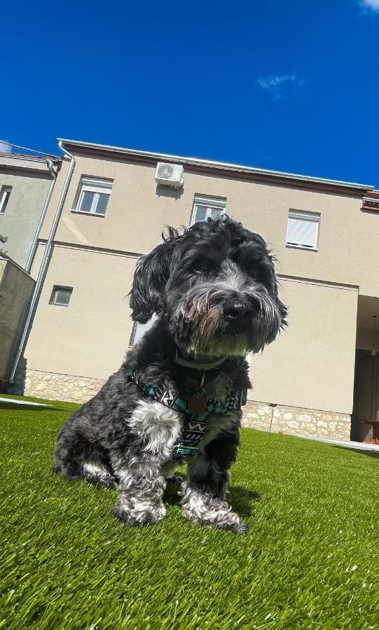 Holiday Apartmanhaz ハルカーニャ エクステリア 写真