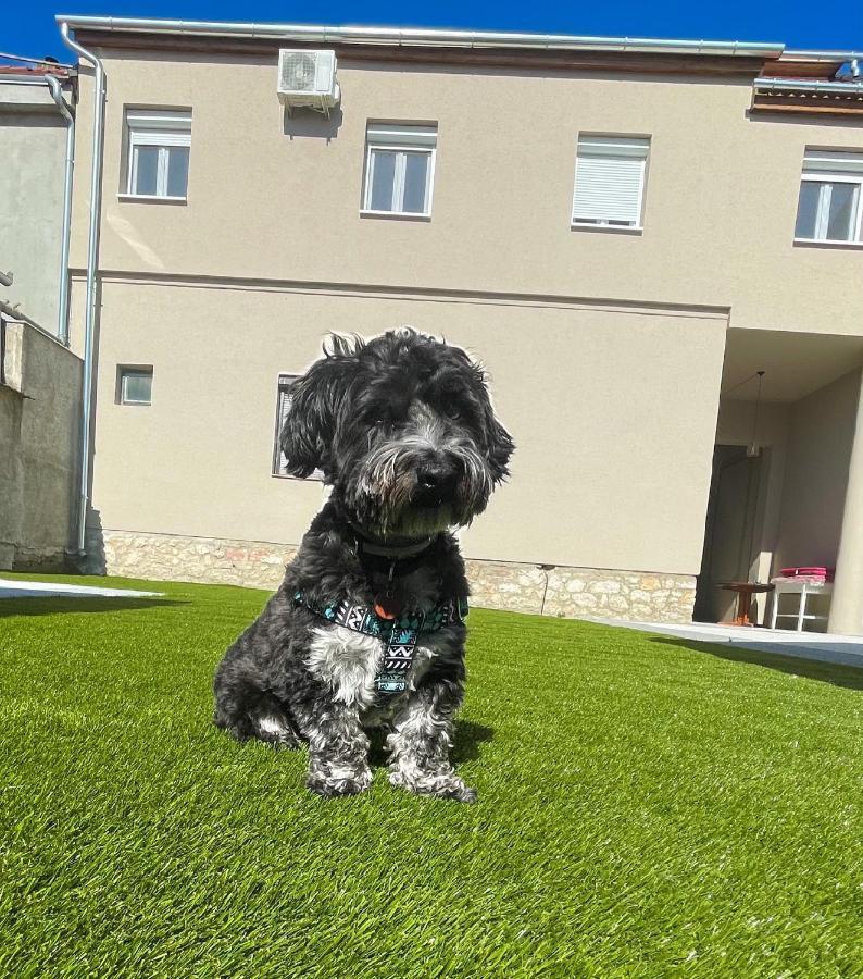 Holiday Apartmanhaz ハルカーニャ エクステリア 写真